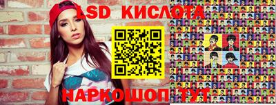 прущие грибы Бердск