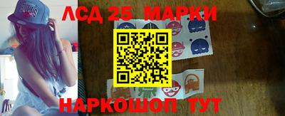 прущие грибы Бердск