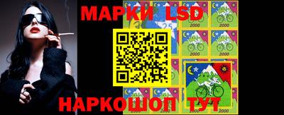 прущие грибы Бердск