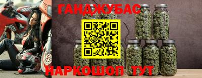 прущие грибы Бердск