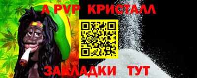 прущие грибы Бердск