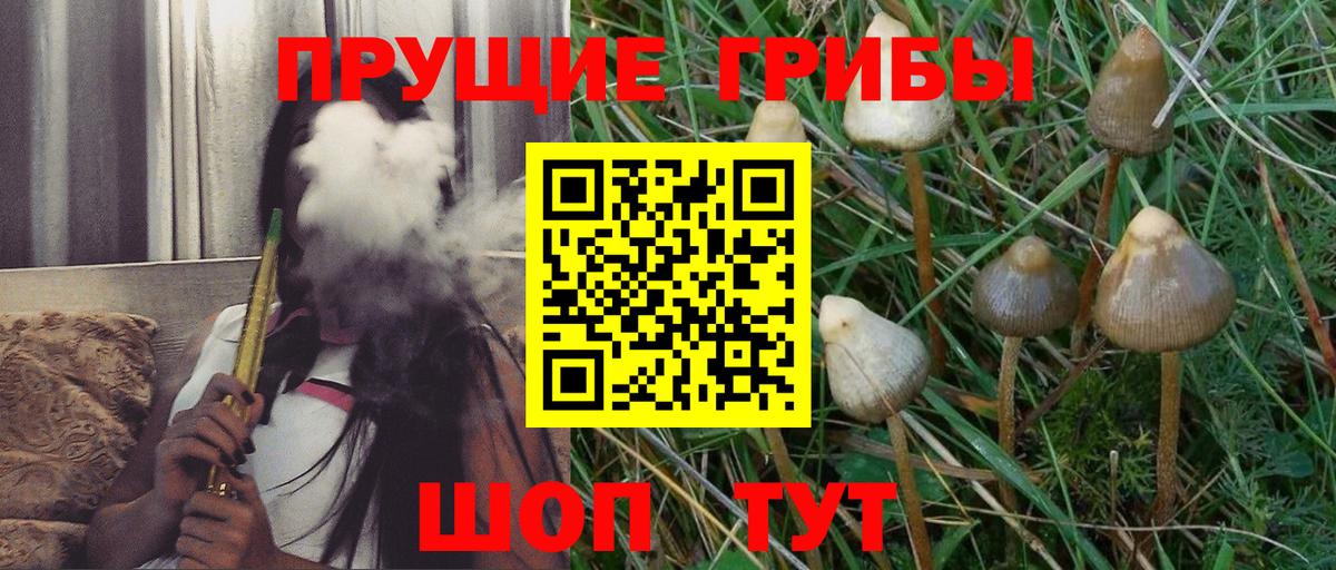 Галлюциногенные грибы MAGIC MUSHROOMS  Вход с VPN  Горно-Алтайск  Псилоцибиновые грибы Cubensis 